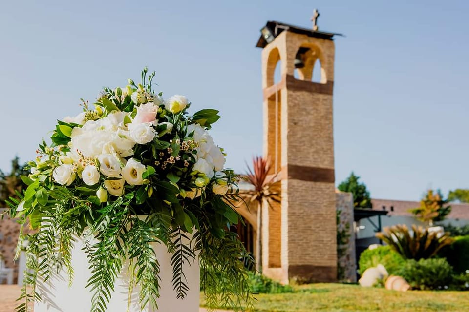 Varibobi Club  portfolio